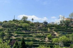 穆赫卡U19赛场惊艳表现引英超豪门争抢