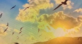 西甲保级大战：巴列卡诺主场迎战塞维利亚关键战